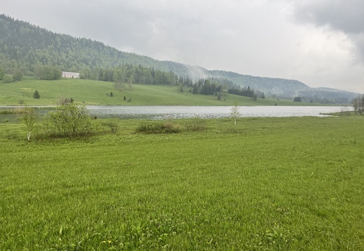 23-05-23 13-22-52 5599